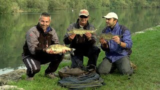 Trabucco TV  Tecniche di Pesca  River Feeder Fishing  Trezzo dAdda [upl. by Knute]