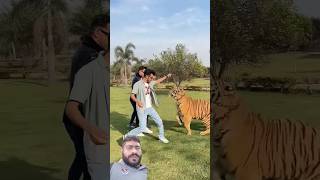 Tiger Dangerously Attacks on Boy  Nouman Hassan [upl. by Dnomar]