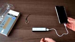 Signalex Poundland Powerbank Unboxing and Review [upl. by Joyan]