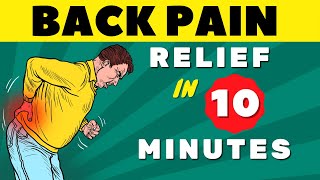 Lower Back Pain  Everything You Need to Know  Lower Back Pain Exercises quotFAST RELIEFquot [upl. by Iru680]