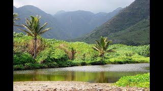 Hawaii Molokai  Halawa Valley Cultural Tour [upl. by Ivonne]