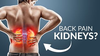 Could your back pain be KIDNEYS [upl. by Nais]