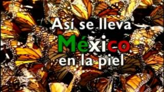 Asi se siente Mexico [upl. by Muslim]