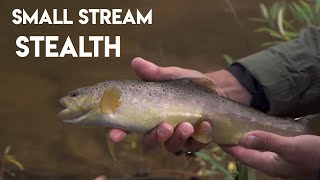 Small Stream Stealth for Trout [upl. by Eneja]