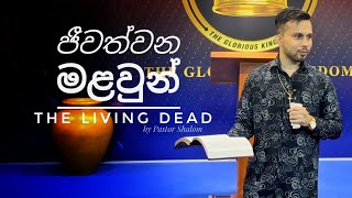 ජීවත්වන මළවුන්  The Living Dead  Pastor Shalom [upl. by Ennaeilsel]