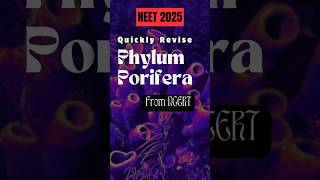 NEET Quick Revision➡️ Phylum Porifera  Class 11th Biology  NCERTneet2025neetbioclass11thshorts [upl. by Namara676]