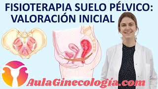 FISIOTERAPIA DEL SUELO PÉLVICO VALORACIÓN INICIAL en consulta  Ginecología y Obstetricia [upl. by Hatch483]