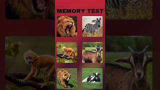 MEMORY TEST 🧠 how good is your memory take a test to know  memory test  memory test quiz [upl. by Wiltz]