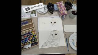 Barn Owl watercolour class preview [upl. by Jotham]