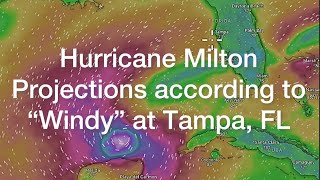 Hurricane Milton Timelapse Projections  Wind Wave Path Windycom [upl. by Haveman]