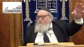 Rabbi Yitzchak Breitowitz Israel Struggles and Triumphs and the Cost of War [upl. by Franek]