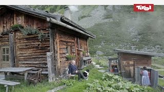 Leben auf der Alm  Almhütten in Tirol Österreich 🐮 [upl. by Amoreta]