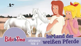 Bibi amp Tina  Im Land der weißen Pferde  1 Stunde Entspannung Teil 2 [upl. by Nerhtak]