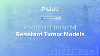 PaclitaxelInduced Resistant Tumor Models [upl. by Bill]