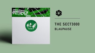 The Sect3000  Blaupause Basic Moves [upl. by Ahsaeit]