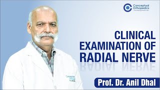 Clinical Examination of Radial Nerve By Prof Dr Anil Dhal [upl. by Enirahtac]