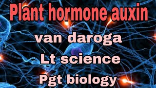 auxin plant hormoneauxin plant hormone in hindi auxin plant hormone class 11plant hormone by renu [upl. by Fleeta]