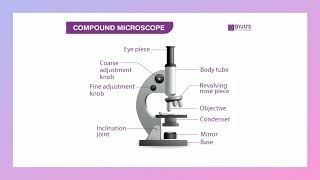 Grade11 Microscopy [upl. by Adnolor]