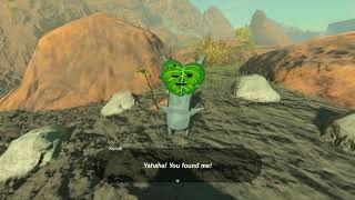 Korok seeds  Deplain Badlands  Woodland Tower 32  Zelda BOTW [upl. by Plusch]