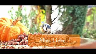 Alles Liebe [upl. by Sansbury]