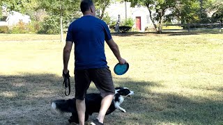 Athletic Dog In Shortridge Park [upl. by Lanrev]