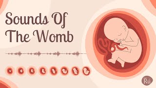 Womb Sounds for Babies  White Noise Heartbeat and Underwater Sounds [upl. by Sualokin]