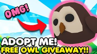 Im Giving Away A Free OWL In Adopt Me Today Dream Pet Giveaway [upl. by Maximilien]