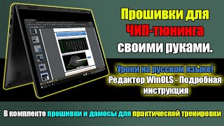 Редактор прошивок для ЧИП тюнинга  Уроки WinOLS на русском языке Подробная инструкция [upl. by Naahsar]