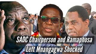 SADC Chairperson and Ramaphosa Left Mnangagwa Shocked 🇿🇼 [upl. by Casanova802]