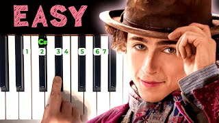 Pure Imagination  Wonka  EASY PIANO TUTORIAL For Beginners [upl. by Eilitan208]