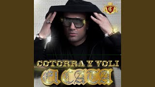 Cotorra Y Voli feat Pitbull [upl. by Acimak]