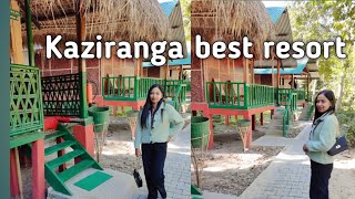 EP 3 nature hunt ECO camp  Resort in Kaziranga National park [upl. by Winona]