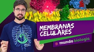 🔬 Citologia 17 Membranas Celulares  Biologia  ENEM [upl. by Jud]