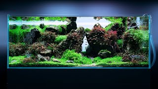 240L EPIC JAPANESE AQUASCAPE AT GREEN AQUA  4K CINEMATIC [upl. by Ynohtona774]