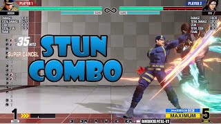 KOF XV HEIDERN  Stun Combo [upl. by Peale104]