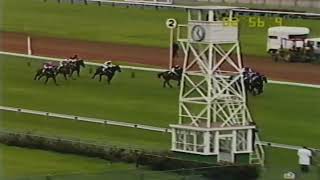 1988 VRC FLEMINGTON  September Meeting [upl. by Greenlee293]