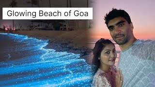 BetalBatim Beach Goa  रात को चमकता पानी  South Goa [upl. by Primaveras]