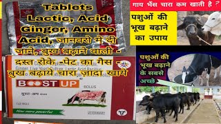 Boost Up Tablet  for Animal Use जानवरो मे उपयोग की जाती है boost up tablets भुख बढ़ाये जानवरो की [upl. by Nosned]