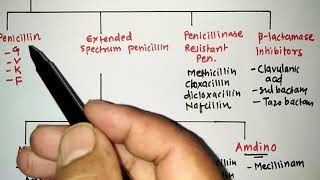 BLACTUM ANTIBIOTICS WITH TRICKS 1PENICILLIN  RRB PHARMACIST EXAM  GPAT  ESIC  PART 45 [upl. by Leddy299]