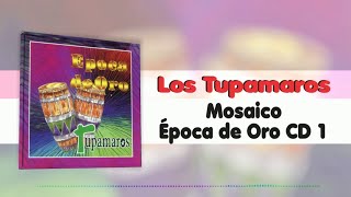 Mosaico Época De Oro  Los Tupamaros  Música Tropical [upl. by Harday]