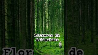 Parte 3  Floresta de Aokigahara curiosidades sobrenatural fatosestranhos [upl. by Corrina]