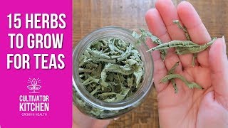 15 Herbs I Grow for Teas Frugal Healthy Living 🌿 [upl. by Kerianne]