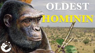 The Fascinating Origins of Hominins [upl. by Chemar445]