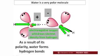 Biochemistry Water PH and Buffers Part 1 tutorial [upl. by Rodavlas]