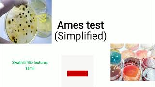 Ames test  How does it work Simplified [upl. by Domenico308]