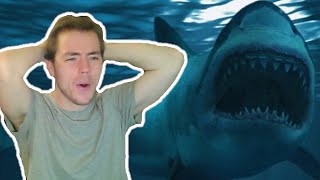 Fish Biologist reacts to quotMegalodon on Cameraquot [upl. by Eimirej286]