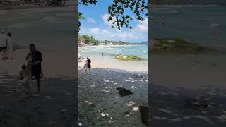 Discover The Simple Pleasures at wwwbhundharicom The Southernmost of Chaweng Beach Ko Samui [upl. by Crist]