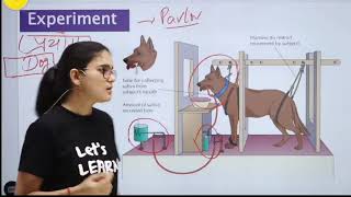 Pavlovs Classical Conditioning Theoryबाल विकास।। Explained by himanshi singh [upl. by Leirea]