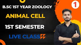 bsc 1st year zoology chapter 1  discovery of cell and cell theory bsc 1st year  zoology class 1 [upl. by Cathrin]