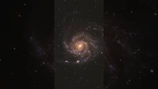 I captured an exploding star in the Pinwheel galaxy m101 supernova m101 pinwheelgalaxy space [upl. by Wernick]